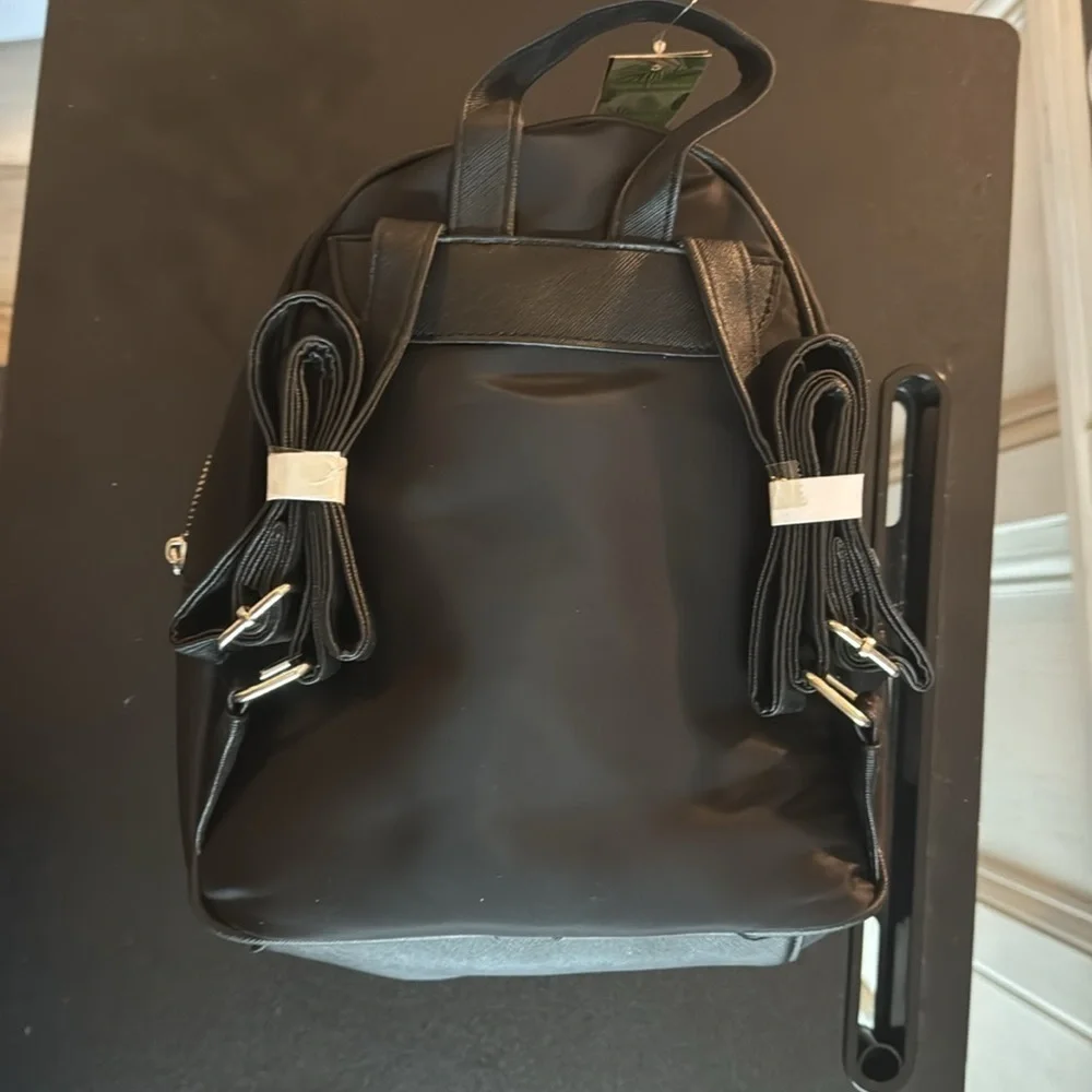 Badgley Mischka sleek stylish